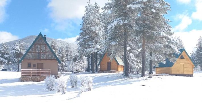 Chalet Cilac Žabljak Eksteriør billede